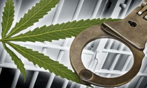 Защита по делам о наркотиках. Услуги адвоката по делам о наркотиках